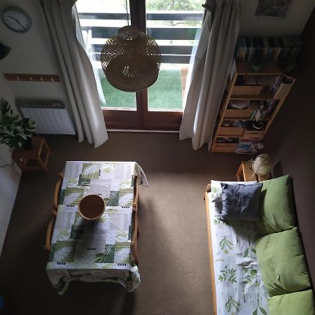 Duplex 3 Pieces. Pieds Des Pistes Et Balcon! Apartment เกรส-ออง-แวร์กอร์ ภายนอก รูปภาพ