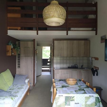 Duplex 3 Pieces. Pieds Des Pistes Et Balcon! Apartment เกรส-ออง-แวร์กอร์ ภายนอก รูปภาพ