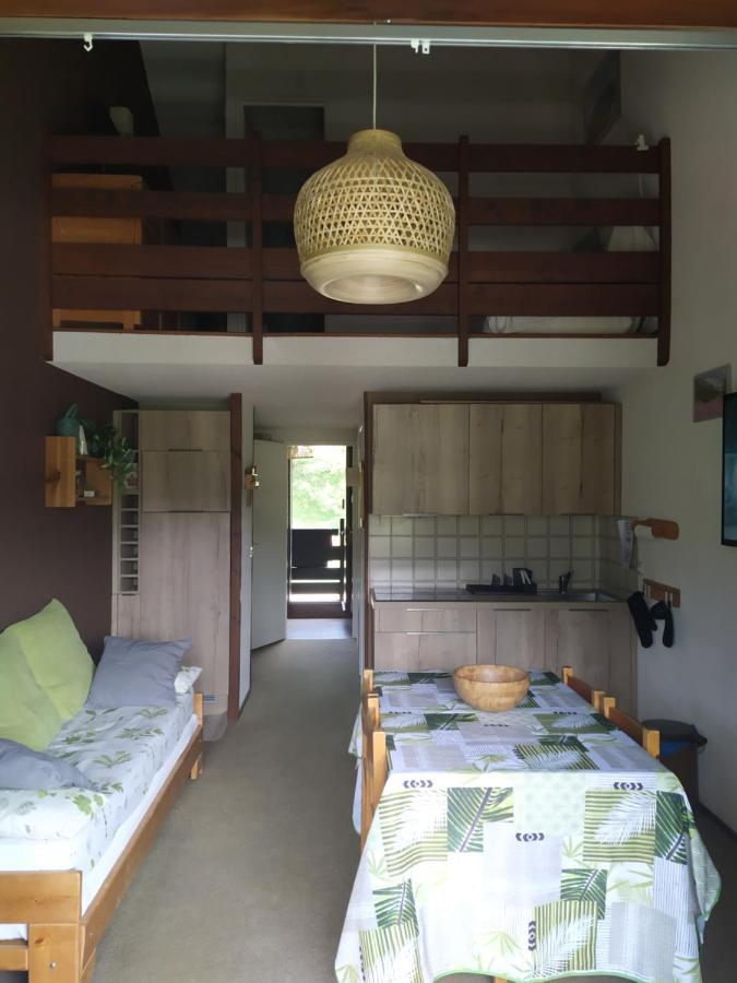 Duplex 3 Pieces. Pieds Des Pistes Et Balcon! Apartment เกรส-ออง-แวร์กอร์ ภายนอก รูปภาพ